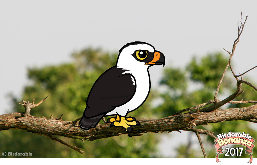 Birdorable Black-and-white Hawk-Eagle
