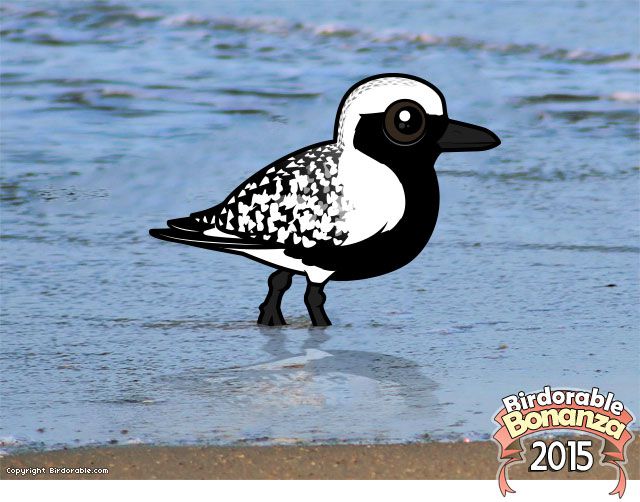 Birdorable Black-bellied Plover