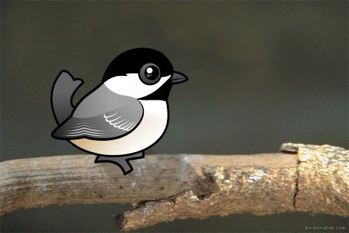 Birdorable Black-capped Chickadee