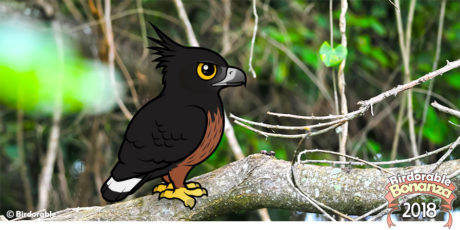 Cute Birdorable Black-and-chestnut Eagle