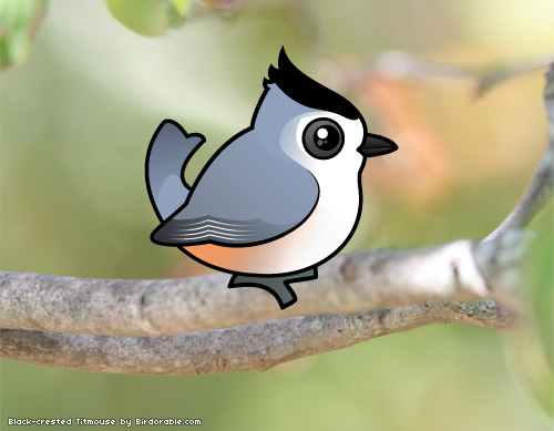 Birdorable Black-crested Titmouse