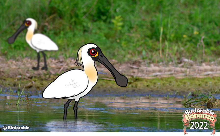 Birdorable Black-faced Spoonbill