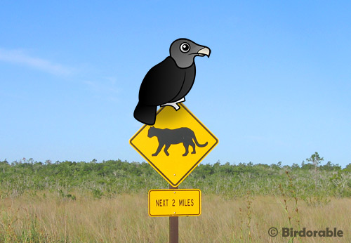 Birdorable Black Vulture in Florida