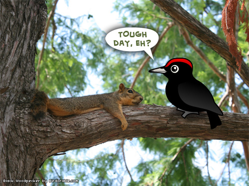 Birdorable Black Woodpecker
