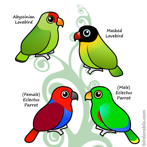 New Birdorable Lovebirds and Parrots
