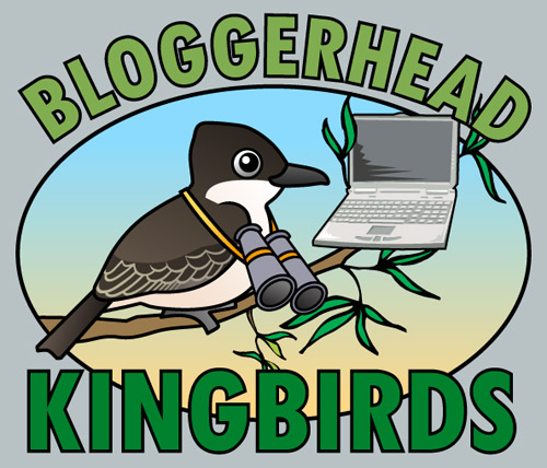 Bloggerhead Kingbirds logo