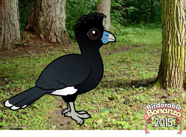 Blue-billed Curassow by Birdorable