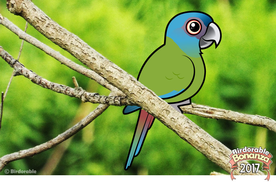 Birdorable Blue-headed Macaw