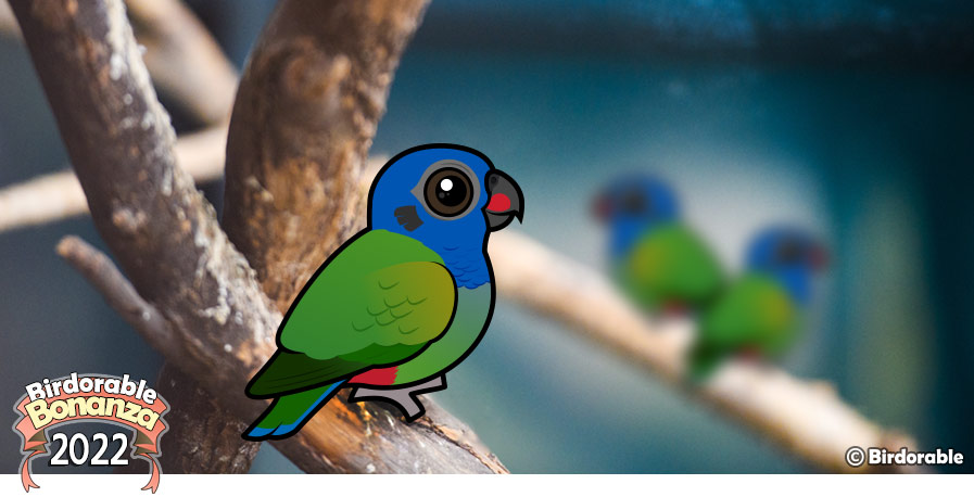 Birdorable Blue-headed Parrot