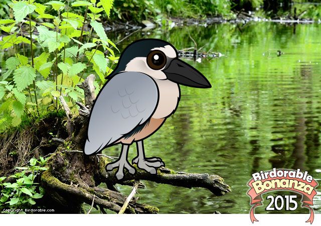 Birdorable Boat-billed Heron