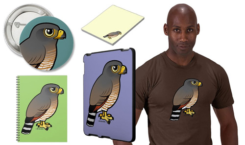 Birdorable Roadside Hawk Product Samples