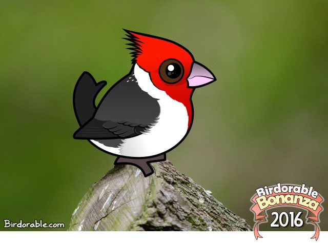 Birdorable Red-crested Cardinal