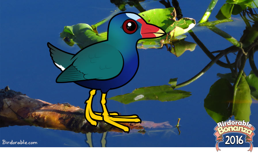Birdorable Purple Gallinule