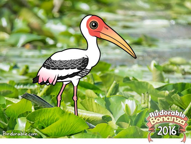 Birdorable Painted Stork