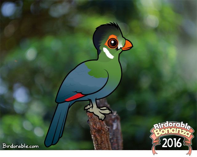 Birdorable White-cheeked Turaco