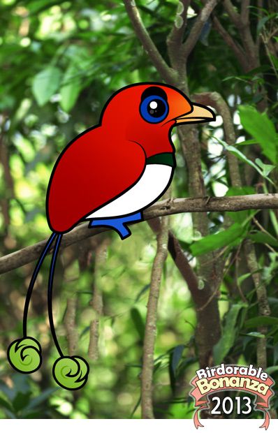 King Bird-of-paradise