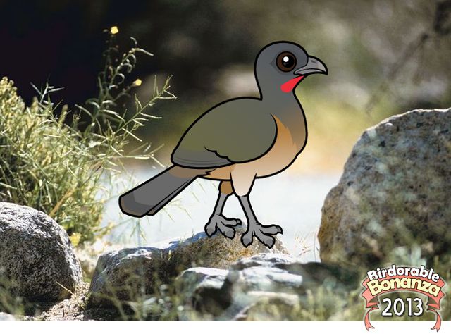 Birdorable Plain Chachalaca