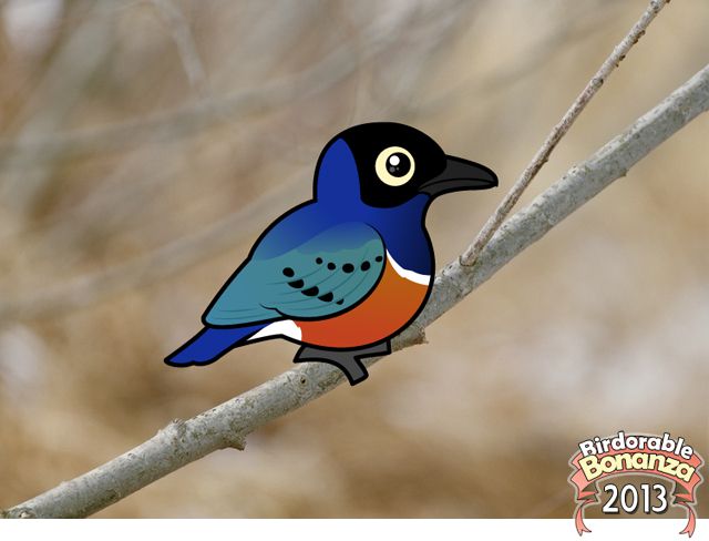 Birdorable Superb Starling