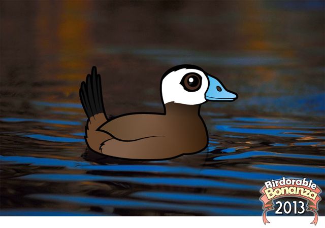 Birdorable White-headed Duck