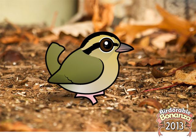 Birdorable Worm-eating Warbler