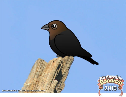 Birdorable Brown-headed Cowbird