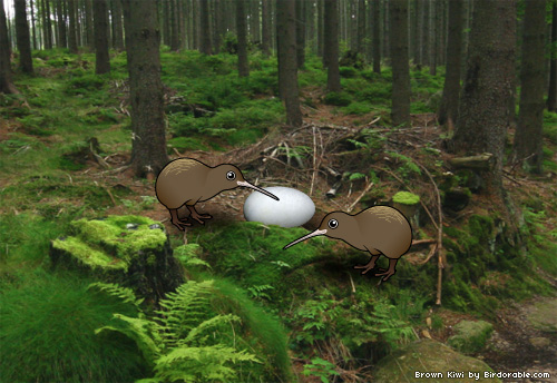 Birdorable Brown Kiwis with egg