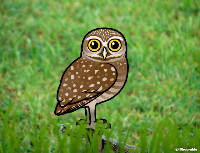Birdorable Burrowing Owls