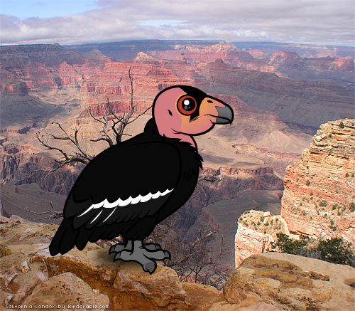 Birdorable California Condor