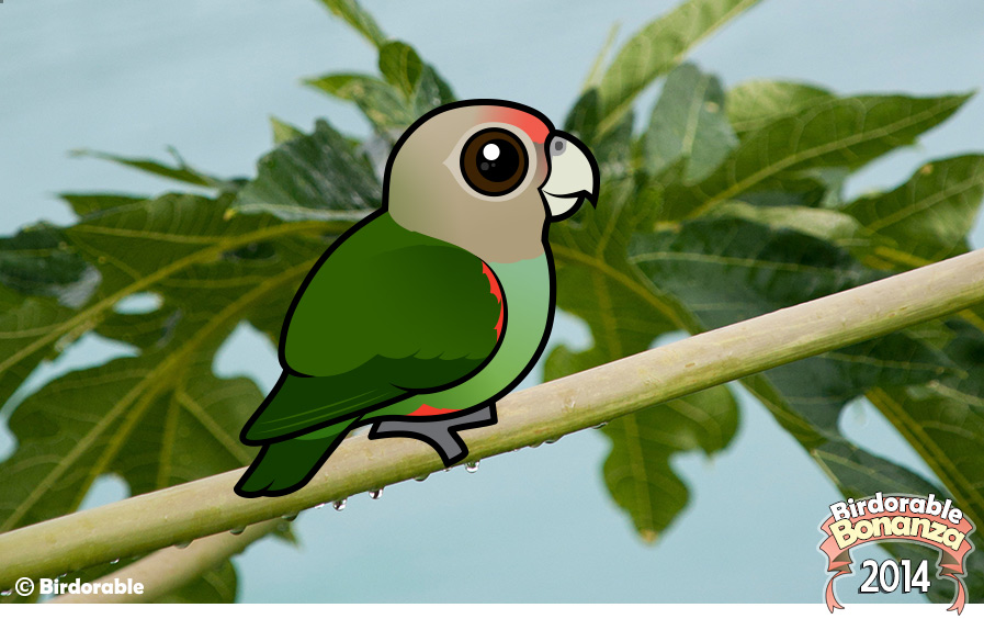 Birdorable Cape Parrot