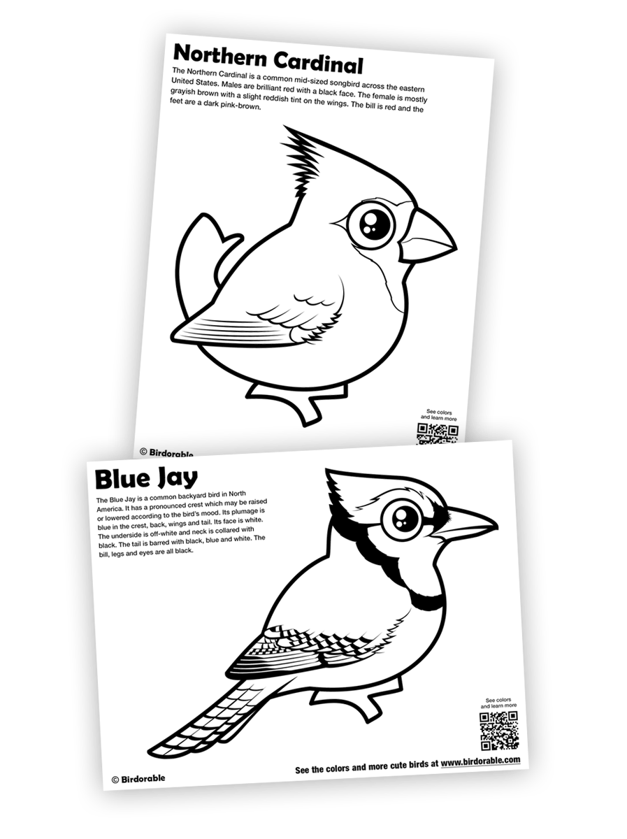 Birdorable Northern Cardinal and Blue Jay coloring pages