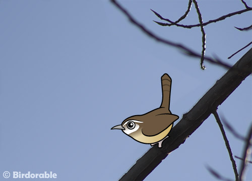 Birdorable Carolina Wren