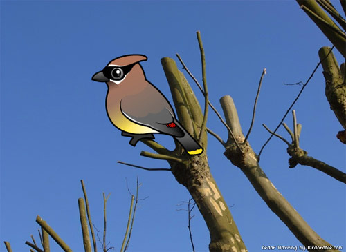 Birdorable Cedar Waxwing