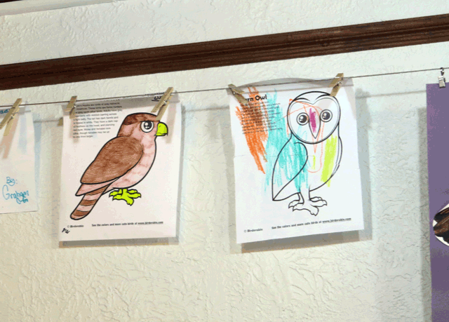 Birdorable Coloring Pages at Audubon Center for Birds of Prey in Maitland, Florida