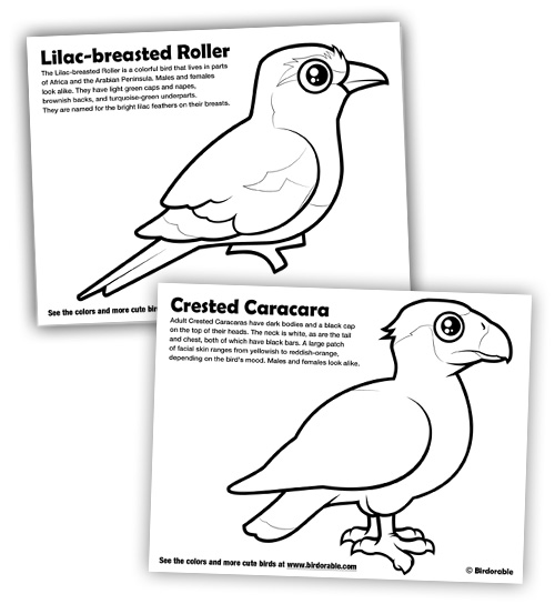 Birdorable Coloring Pages for Lilac-breasted Roller and Crested Caracara