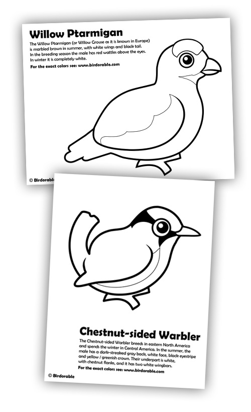 Birdorable Willow Ptarmigan and Chestnut-sided Warbler coloring pages