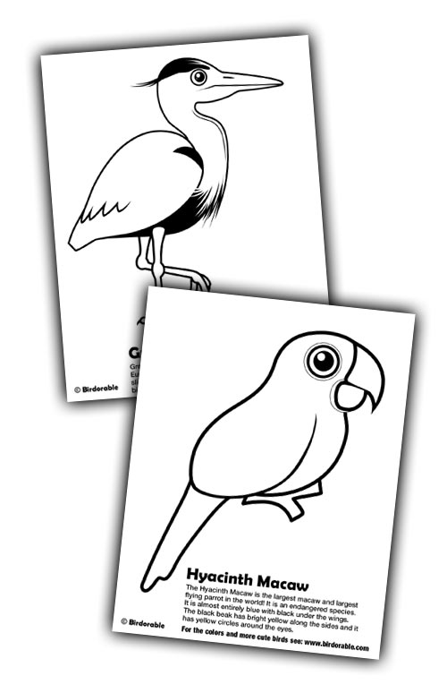 Birdorable Herron and Macaw Coloring Pages