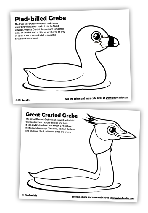 Birdorable Coloring Pages: Pied-billed Grebe and Great Crested Grebe