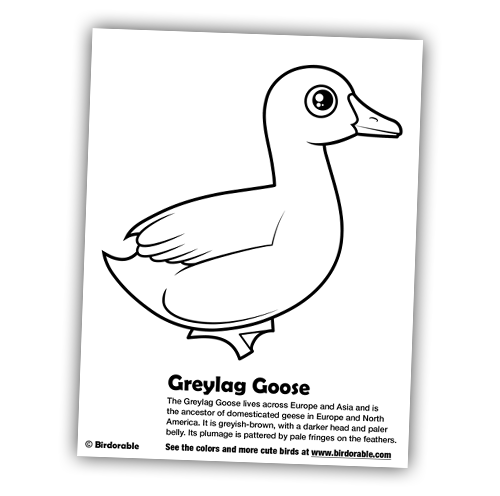 Birdorable Coloring Page: Greylag Goose