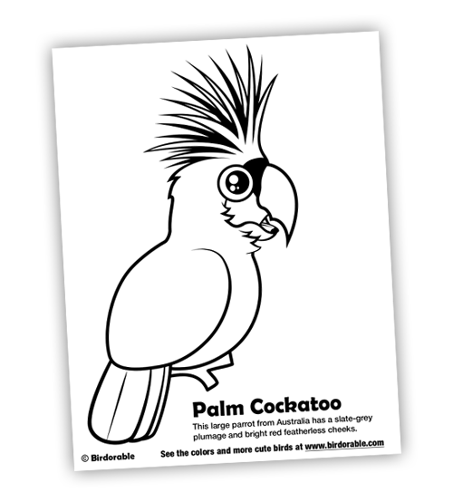Birdorable Palm Cockatoo Coloring Page