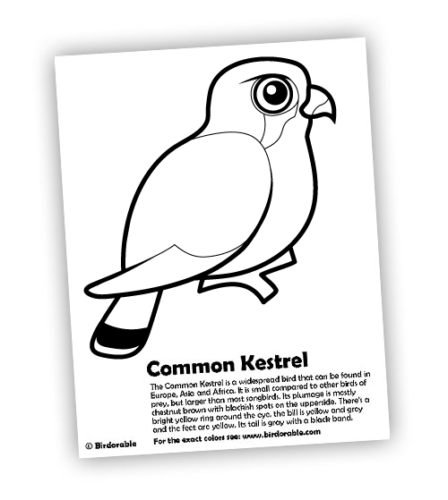 Birdorable Common Kestrel coloring page