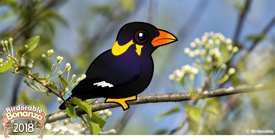 Cute Birdorable Common Hill Myna