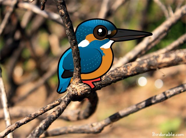 Birdorable Common Kingfisher