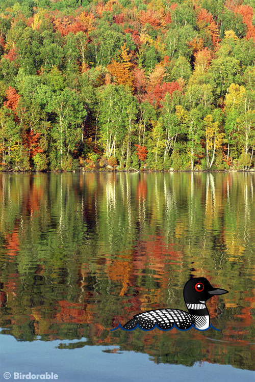 Birdorable Common Loon