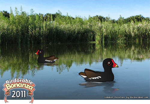 Birdorable Common Moorhen