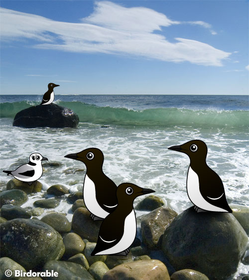 Birdorable Common Guillemot