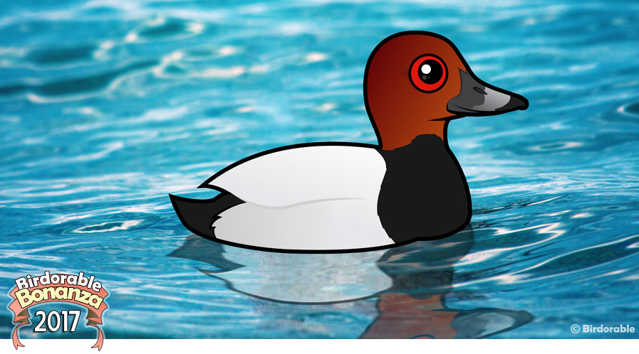 Birdorable Common Pochard