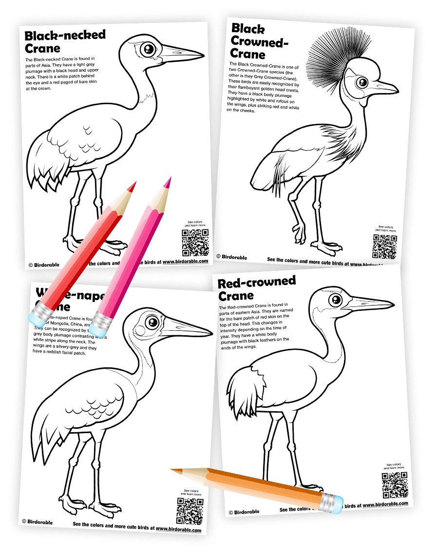 Birdorable crane coloring pages