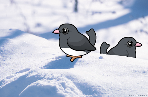 Birdorable Dark-eyed Juncos in the snow