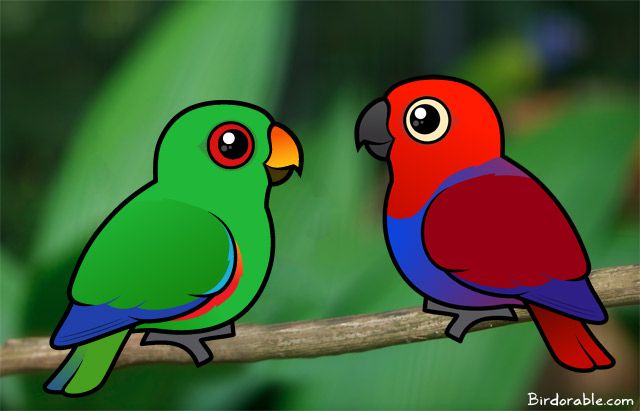 Birdorable Male and Female Eclectus Parrots
