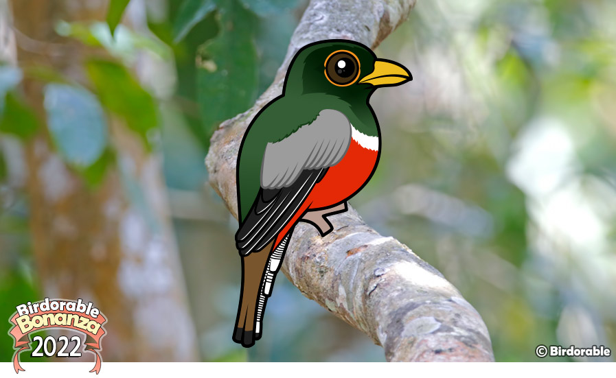 Birdorable Elegant Trogon